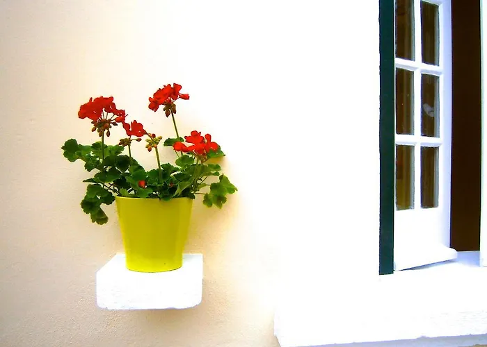 Julias Pateo كاركافيلو