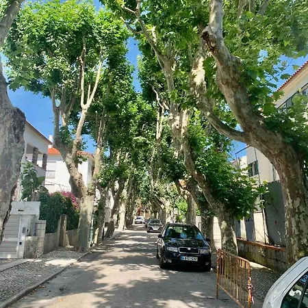 Julias Pateo Lejlighed *