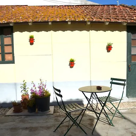 Julias Pateo Apartment